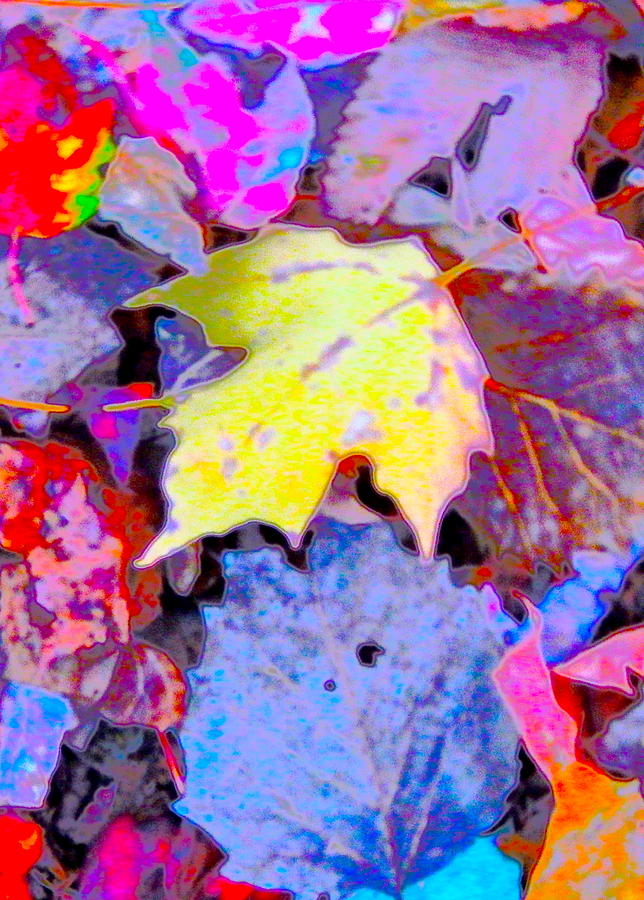 Autumn Color Blurs 193 #1 Photograph by George Ramos