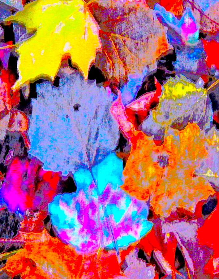 Autumn Color Blurs 195 #1 Photograph by George Ramos