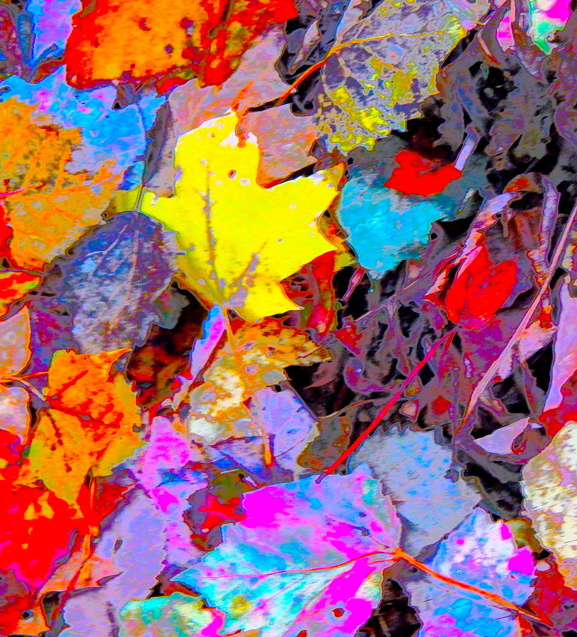 Autumn Color Blurs 200 Photograph by George Ramos