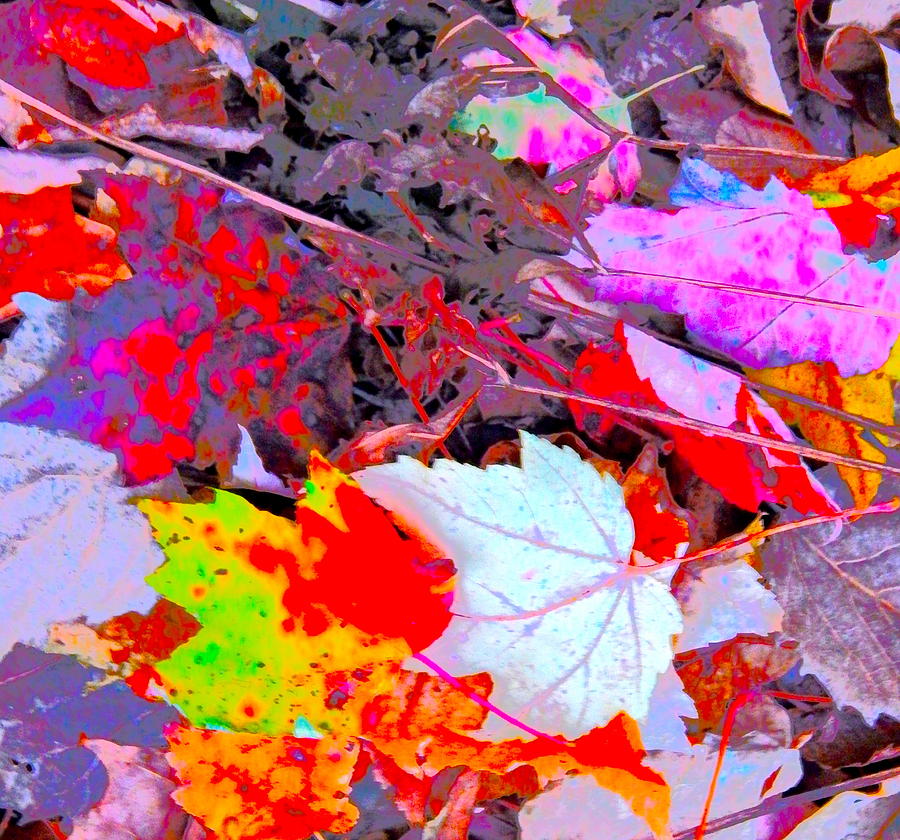 Autumn Color Blurs 202 Photograph by George Ramos