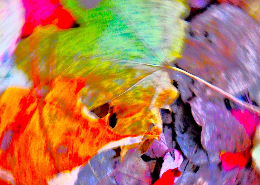 Autumn Color Blurs 205 Photograph by George Ramos