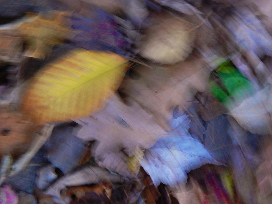 Autumn Color Blurs 68 Photograph by George Ramos