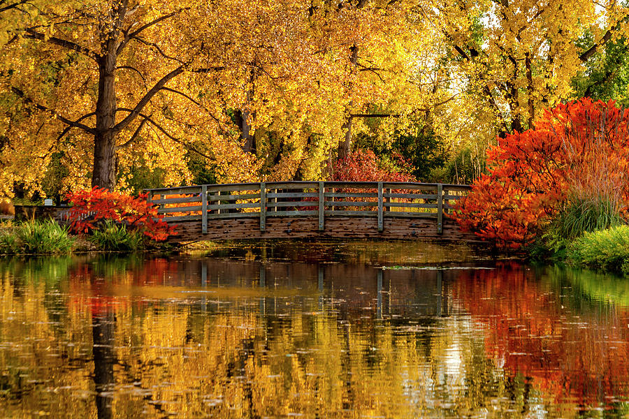 Autumn Color by the Pond Photograph by Teri Virbickis - Fine Art America