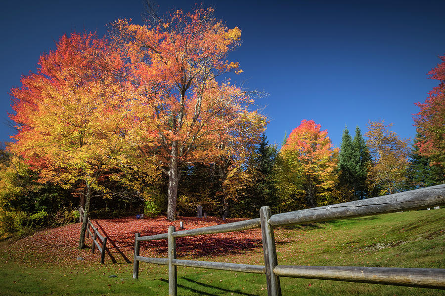 Autumn Color Photograph by Colin Chase