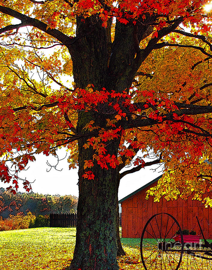 Fall Digital Art - Autumn Color Dance by Diane E Berry