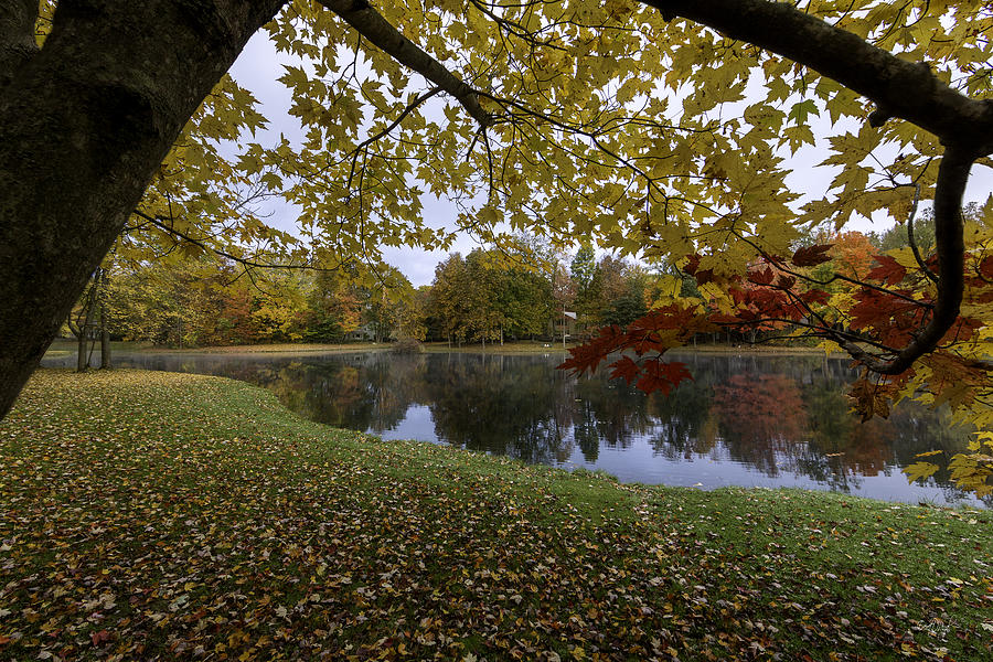 Autumn Color Photograph by Everet Regal