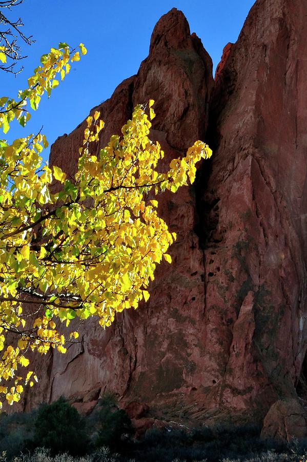 Autumn Color Garden Of The Gods Photograph by Jerry Sodorff