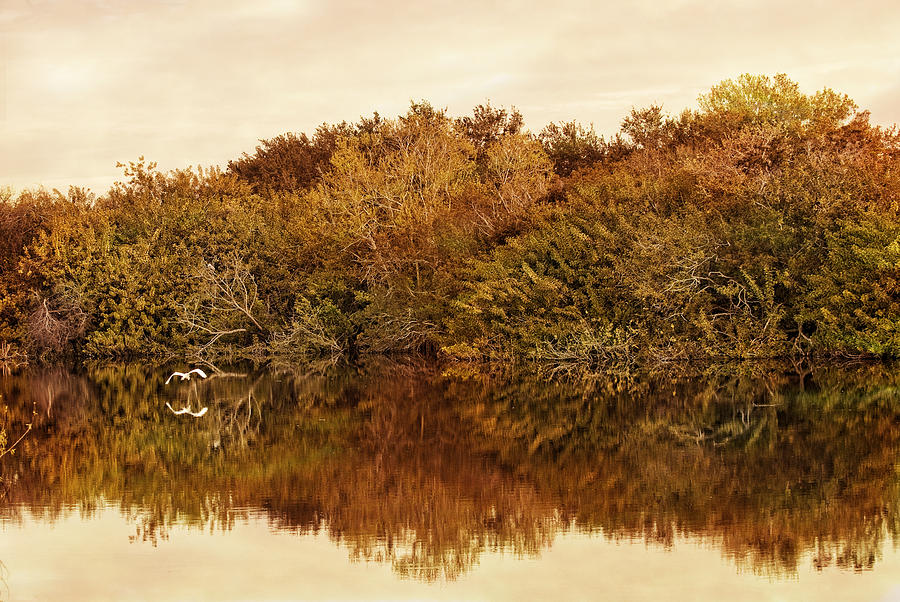 Autumn color Photograph by Gouzel -