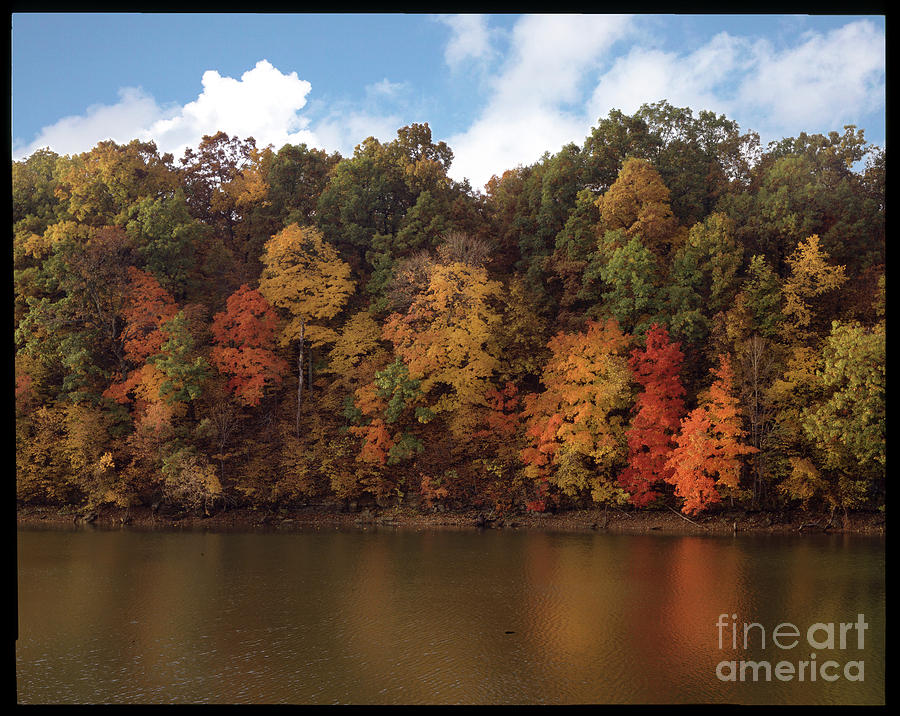 Autumn Color in the Ozarks, Southwest Missouri USA Photograph by Greg Kopriva