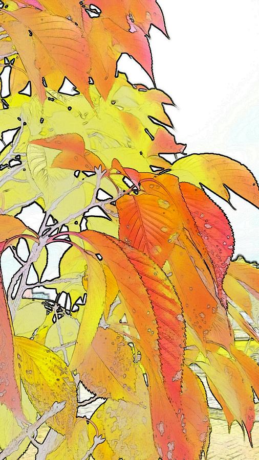 Fall Digital Art - Autumn color by Kumiko Izumi