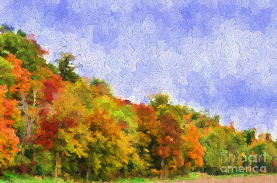 Autumn Color on a Hillside - Digital Paint Photograph by Debbie Portwood