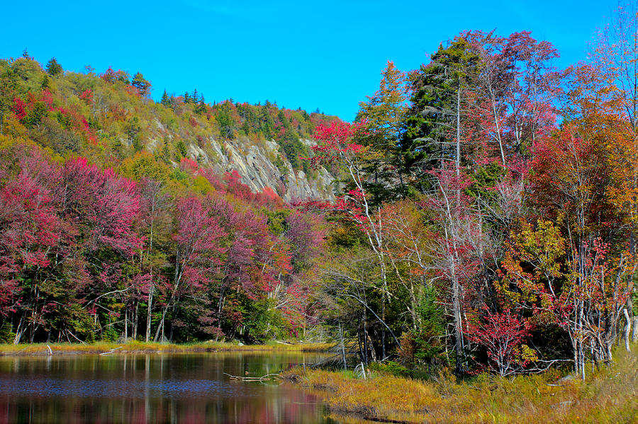Autumn Color on Bald Mountain Pond Photograph by David Patterson