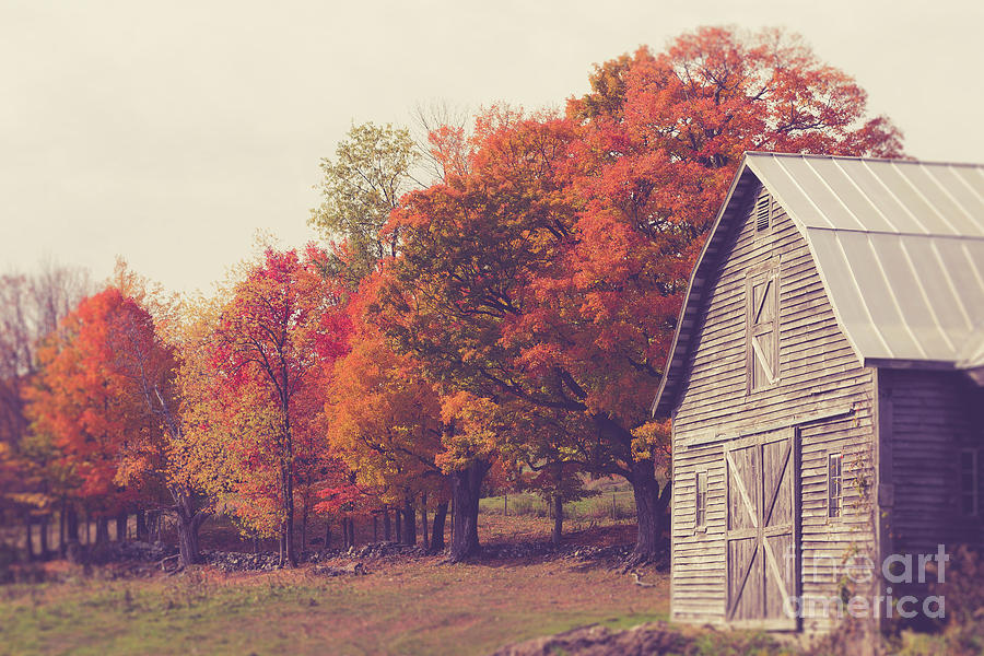 Autumn Color on the Old Farm Photograph by Edward Fielding