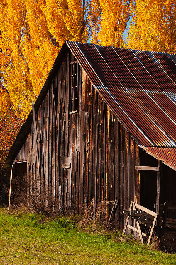 Hood River Barn Photograph by Patrick Campbell