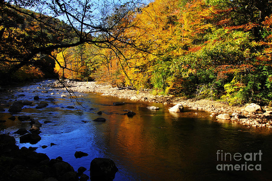 Autumn Color Williams River Photograph