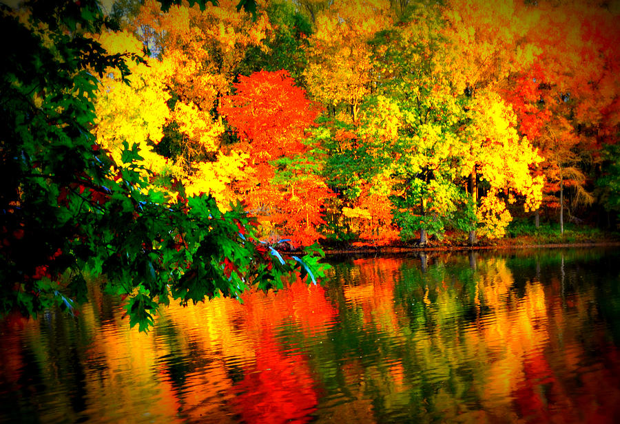 Autumn Colors #3 Digital Art by Aron Chervin