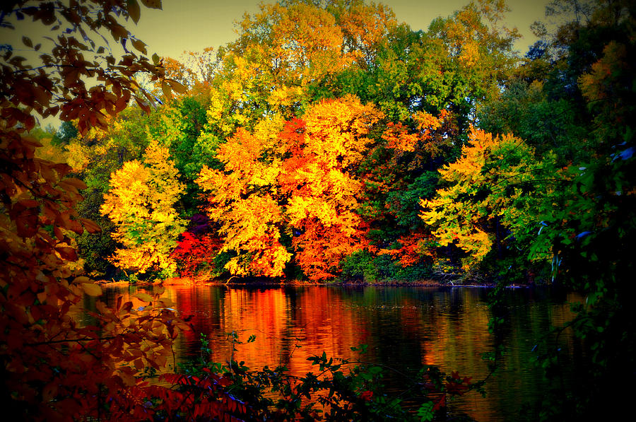 Autumn Colors #4 Digital Art by Aron Chervin