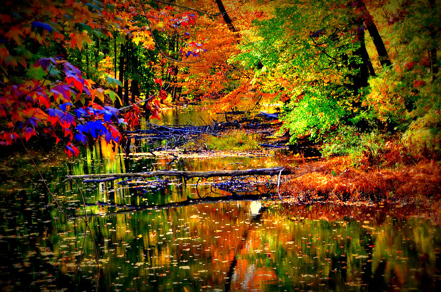 Autumn Colors #1 Digital Art by Aron Chervin