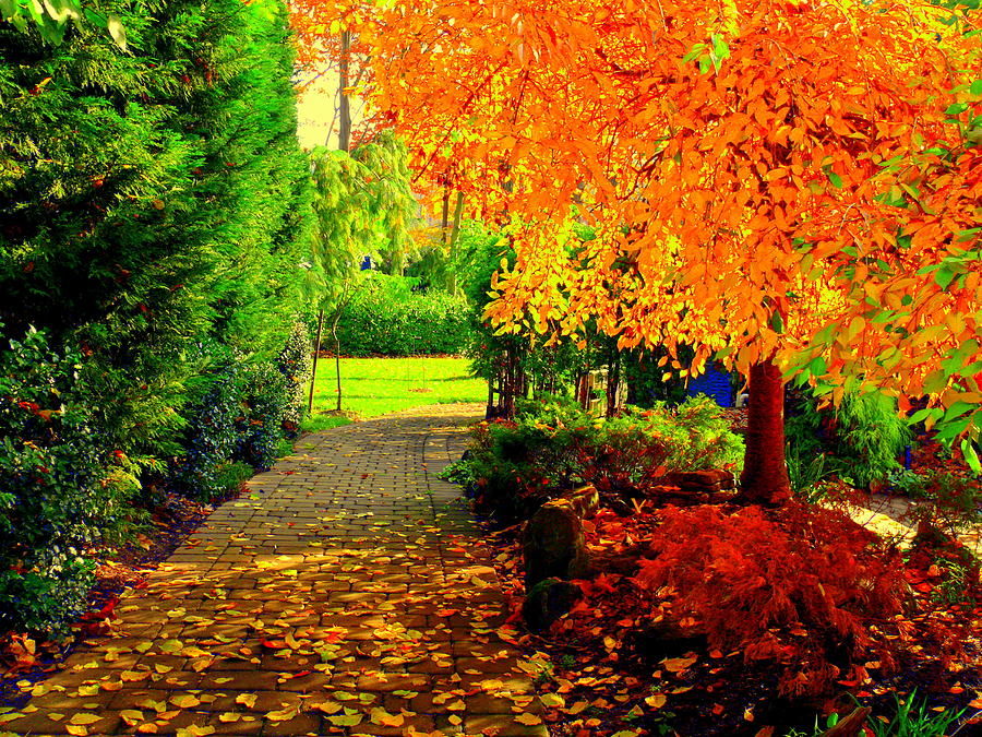 Tree Glass Art - Autumn colors by Aron Chervin