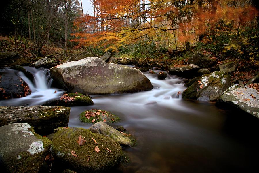 Autumn Colors Photograph by Alberto Audisio