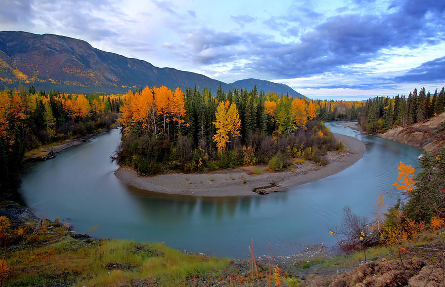 Autumn colors along Tanzilla River in Northern British Columbia Digital Art by Mark Duffy