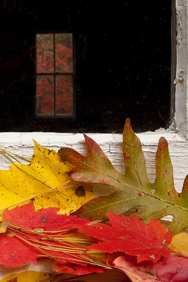 Autumn Colors Photograph by Andrew Soundarajan