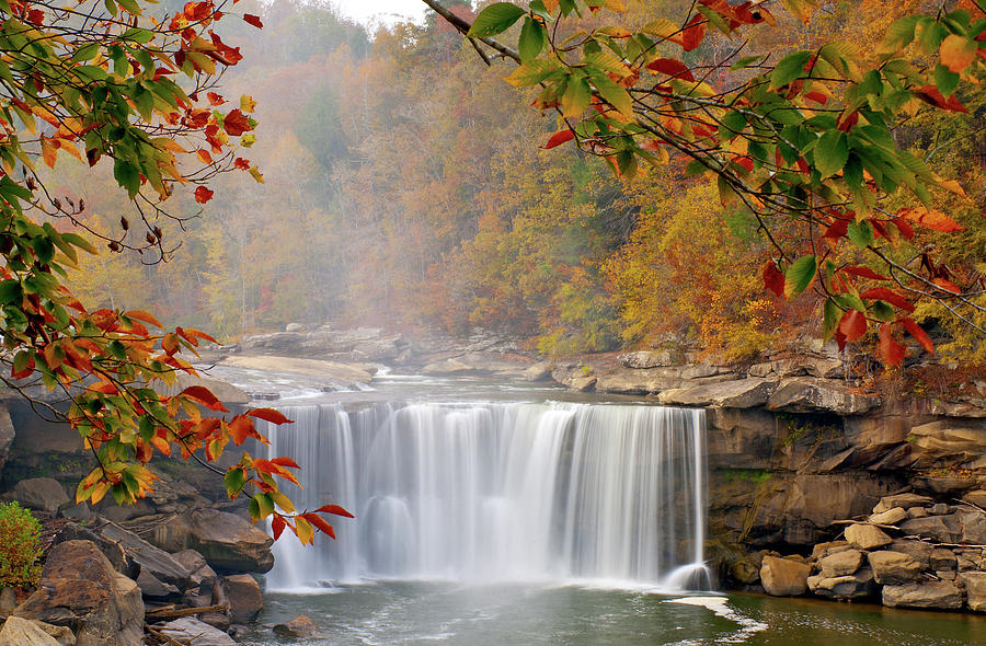 Autumn Colors at Cumberland Falls Photograph by Rebecca Higgins