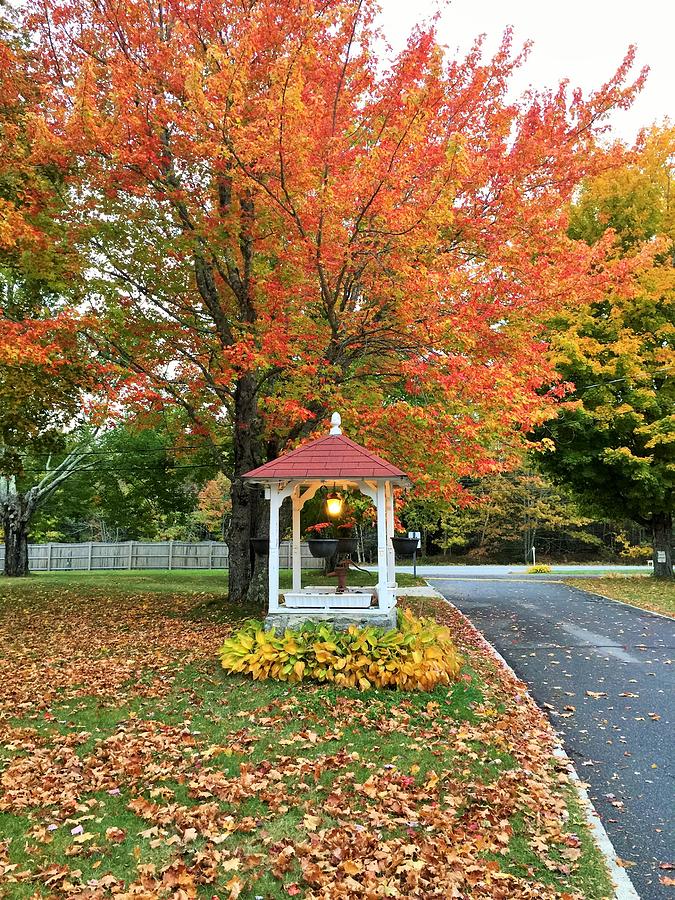 Autumn Colors at Eden Village Photograph by Lena Hatch
