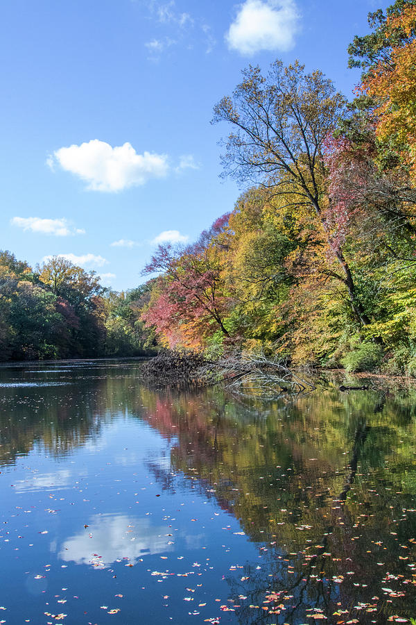 Tree Photograph - Autumn Colors at Hopkins Pond by John Rivera