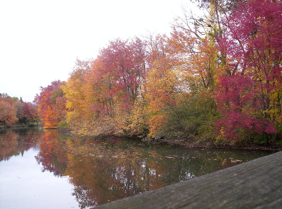 Fall Photograph - Autumn Colors at Lake by Bob Palmisano