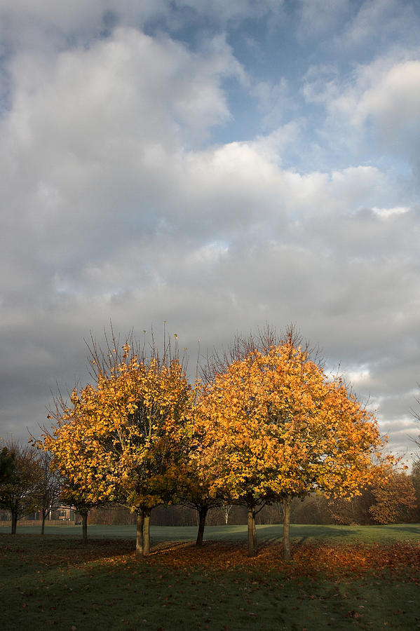 Autumn colors at the University of Limerick Ireland Photograph by Pierre Leclerc Photography