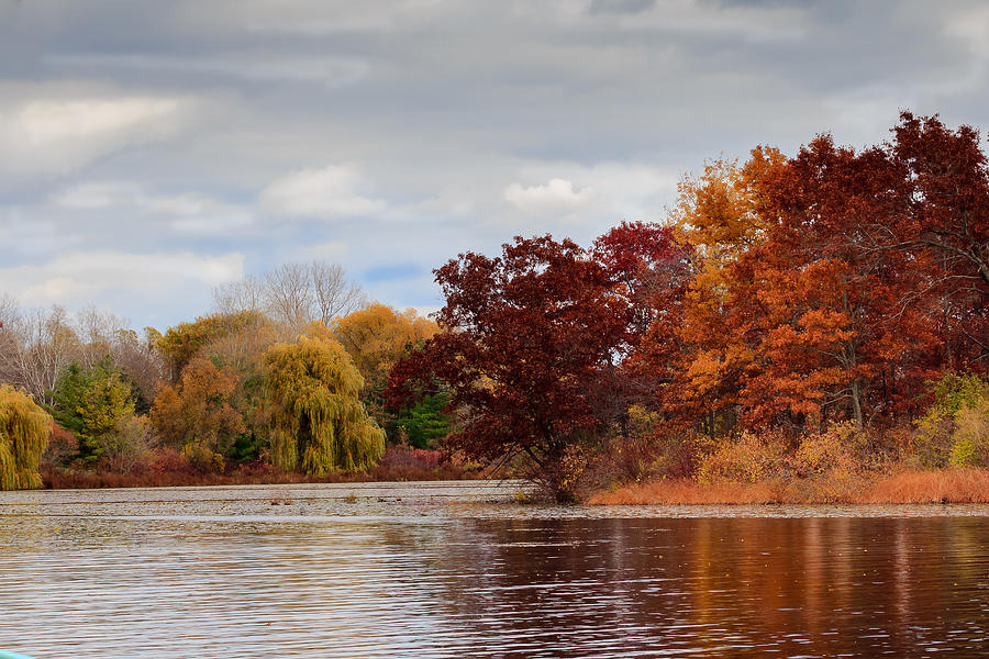 Autumn Colors by the Lake Photograph by Joni Eskridge