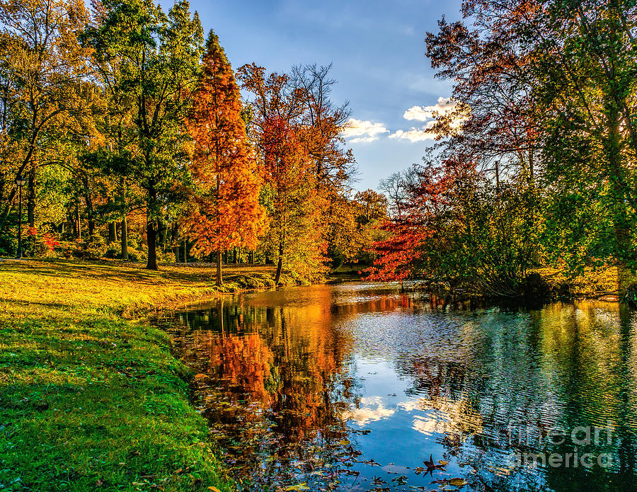 Autumn Colors by the Lake Photograph by Nick Zelinsky Jr