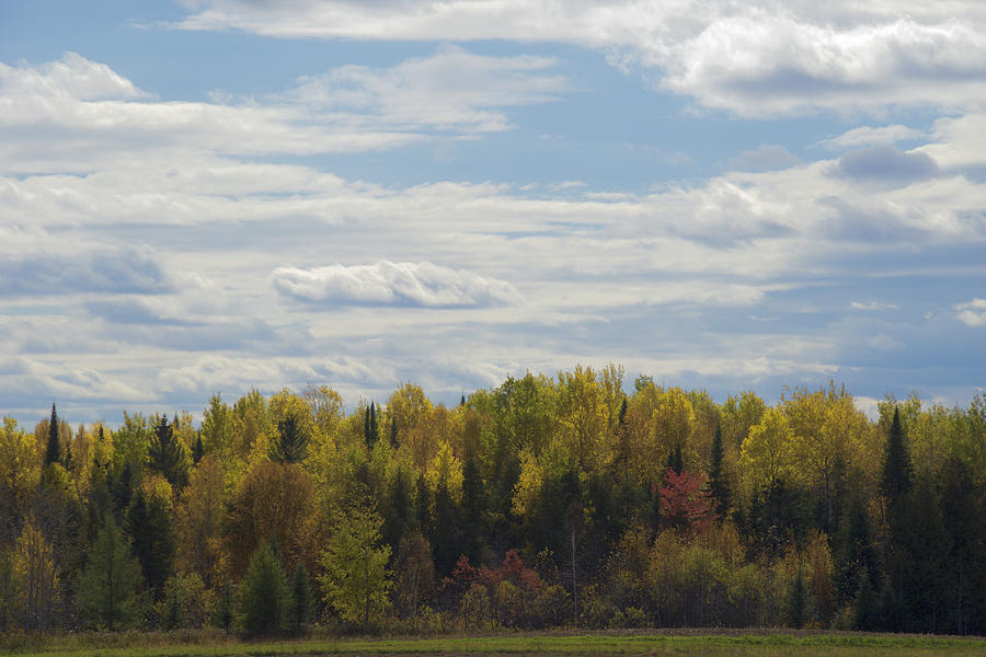 Autumn Colors by Chris Alberding Autumn Colors by Chris Alberding