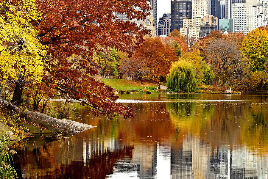 New York City Photograph - Autumn Colors in Central Park New York City by Sabine Jacobs