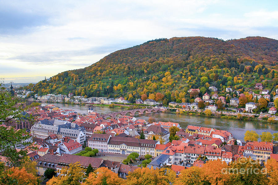 Autumn Colors in Heidelberg Germany Photograph by Amy Sorvillo