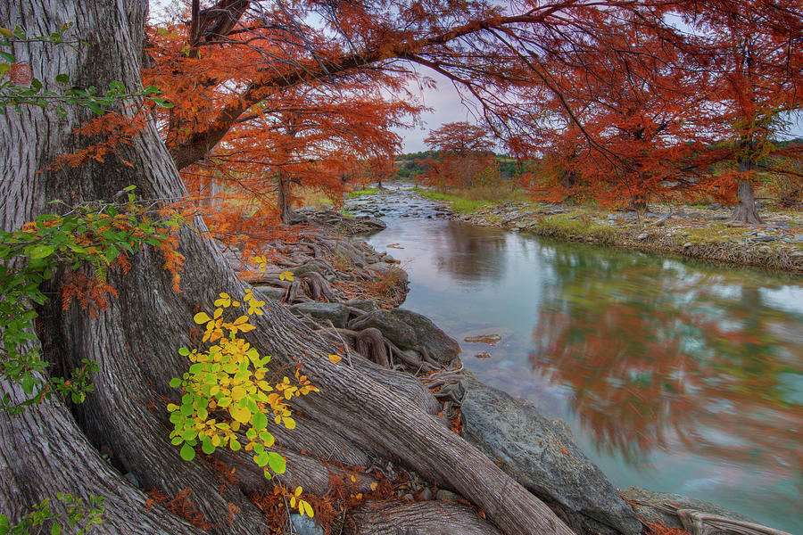 Autumn Colors in the Texas Hill Country 17-1 Photograph by Rob Greebon ...