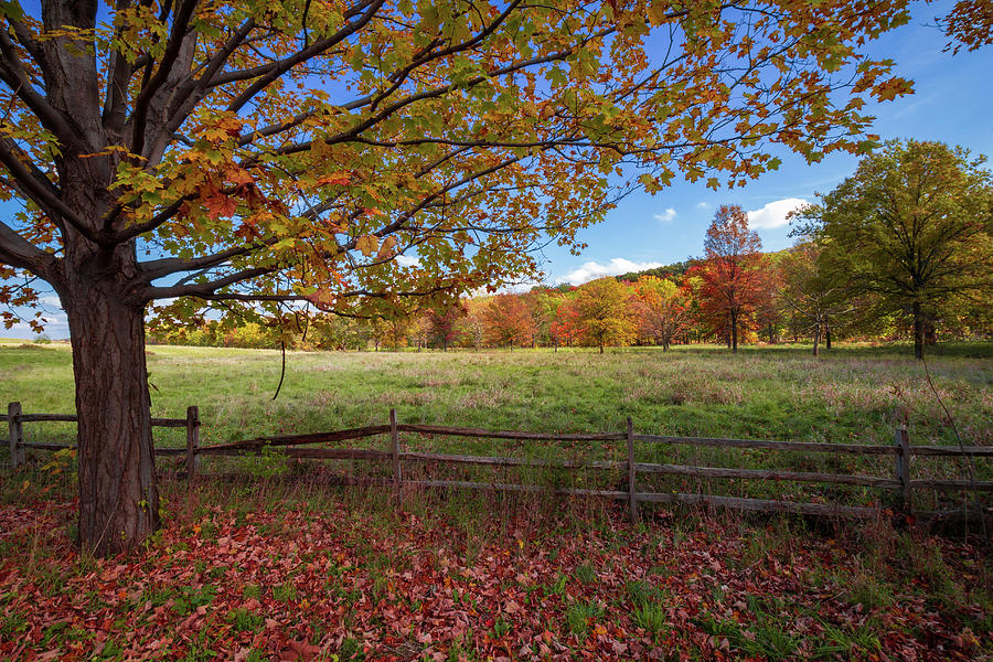 Fall colors in upstate ny by imaginee on DeviantArt