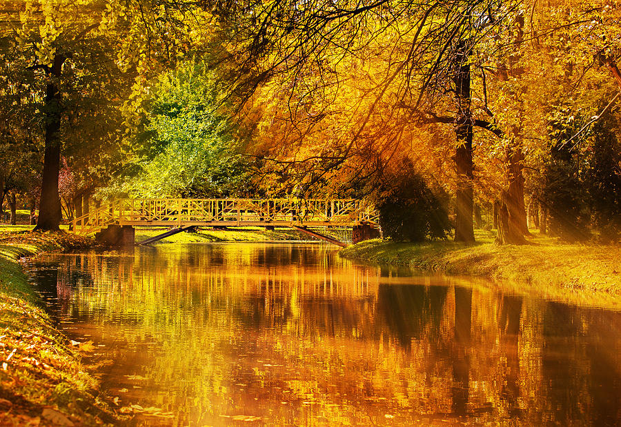 Nature Photograph - Autumn colors by Ivan Vukelic