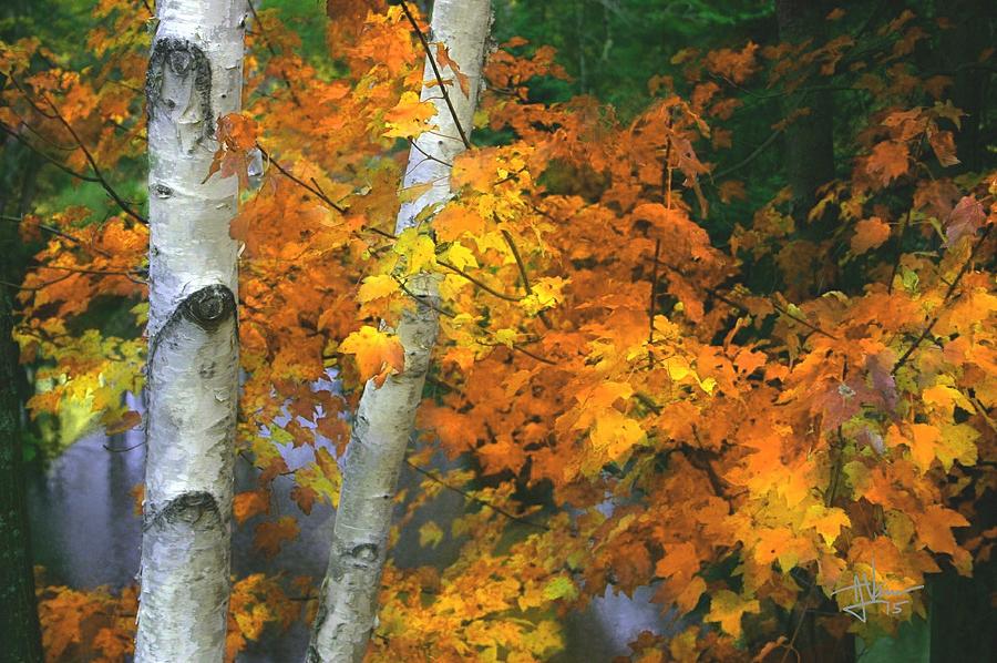 Autumn Colors Photograph by Jim Vance
