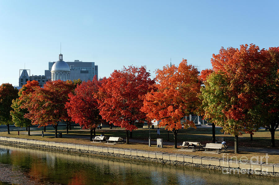 Autumn Colors Old Port of Montreal Photograph by John  Mitchell