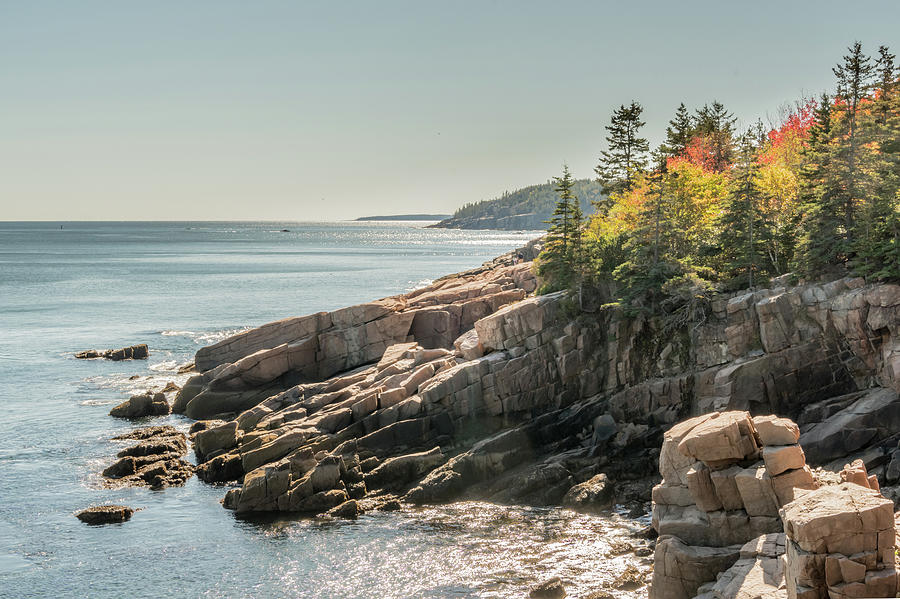 Autumn Colors on Rocky Maine Coast in Acadia National Park Photograph by Kelly VanDellen