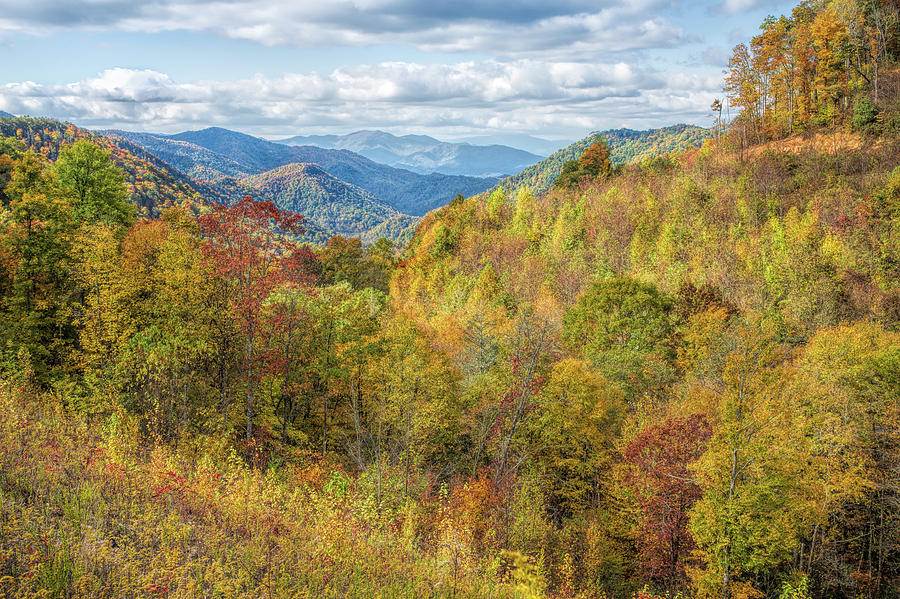 Autumn Colors on the Blue Ridge Parkway Photograph by John M Bailey