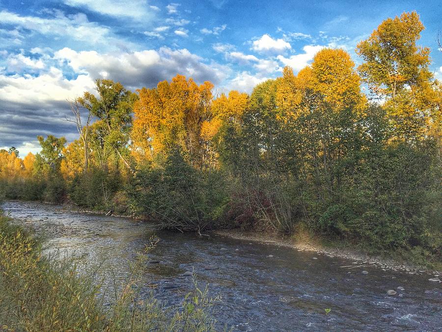 Autumn Colors on the Chama River Photograph by Debra Martz