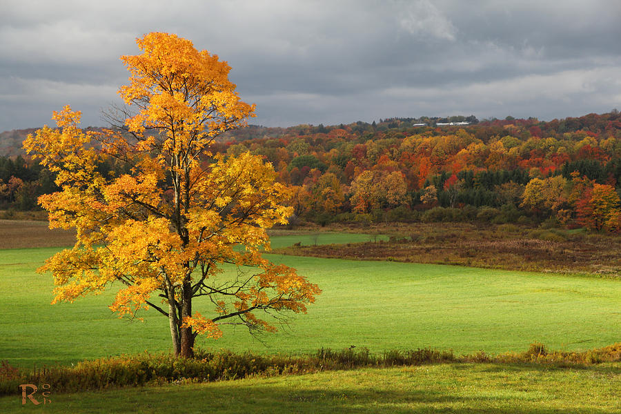 Autumn Colors Photograph by Robert Och