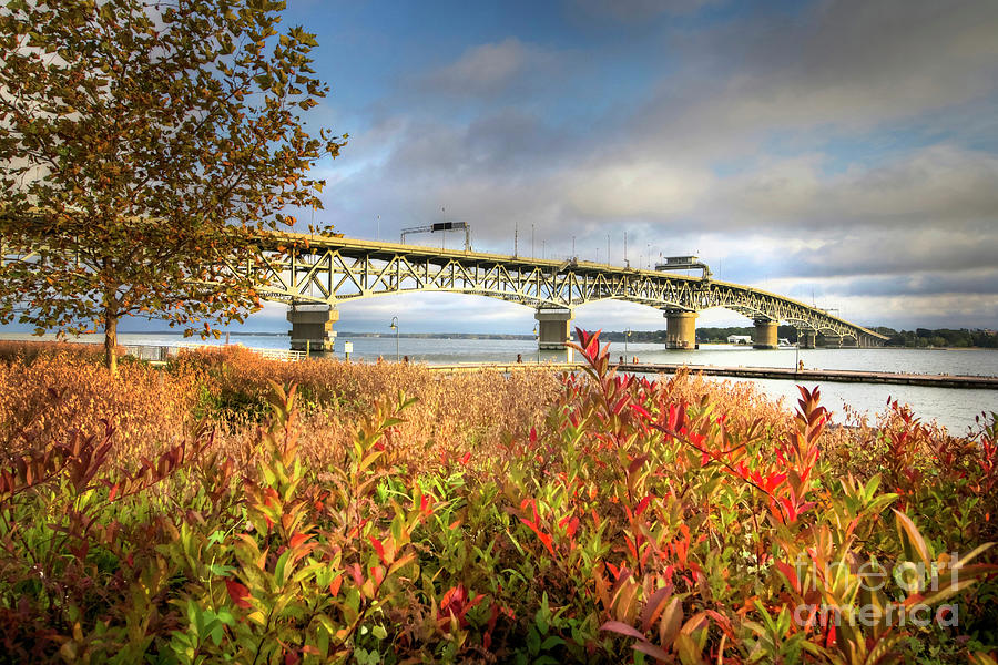 Autumn Colors Under Coleman Bridge Photograph by Karen Jorstad