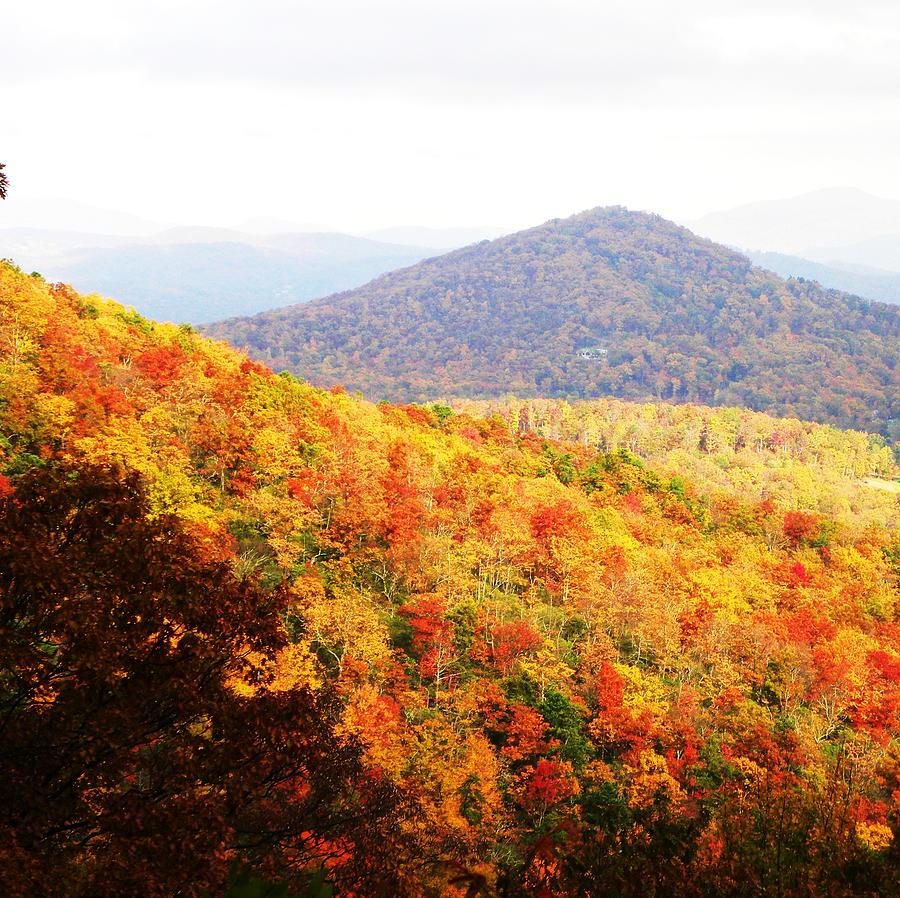 Fall Photograph - Autumn Colors Western NC by Cindy Gacha