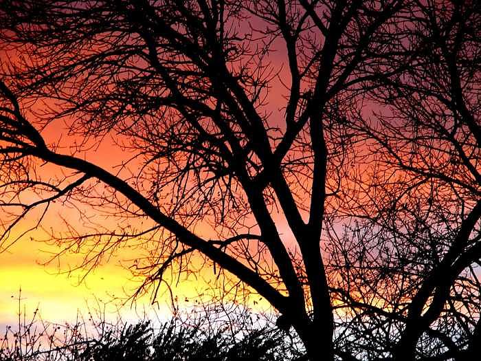 Contemporary Photograph - Autumn Colors by William Seguin Contemporary Photograph - Autumn Colors by William Seguin