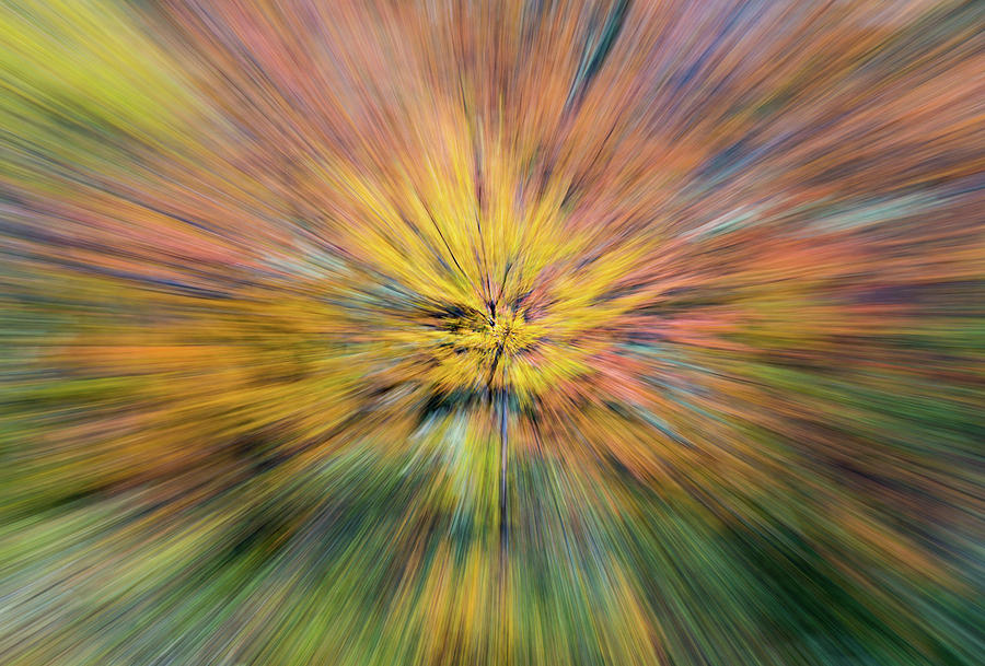 Autumn Colors Zoom Photograph by Max Waugh