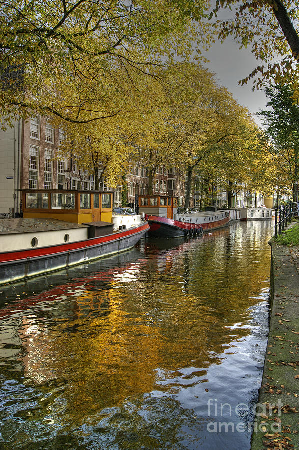 Autumn Colour In Amsterdam Photograph by David Birchall